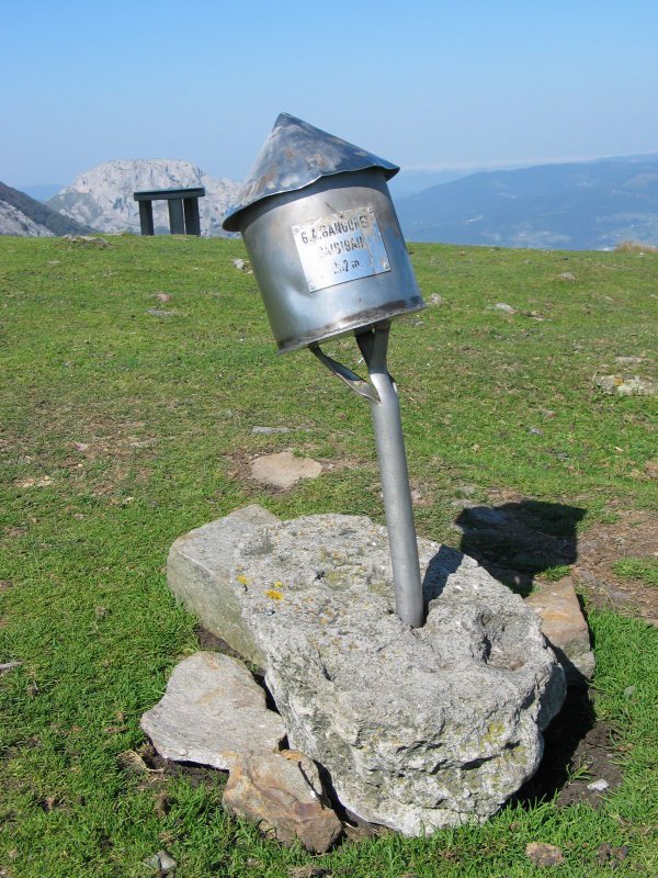 Buzoia