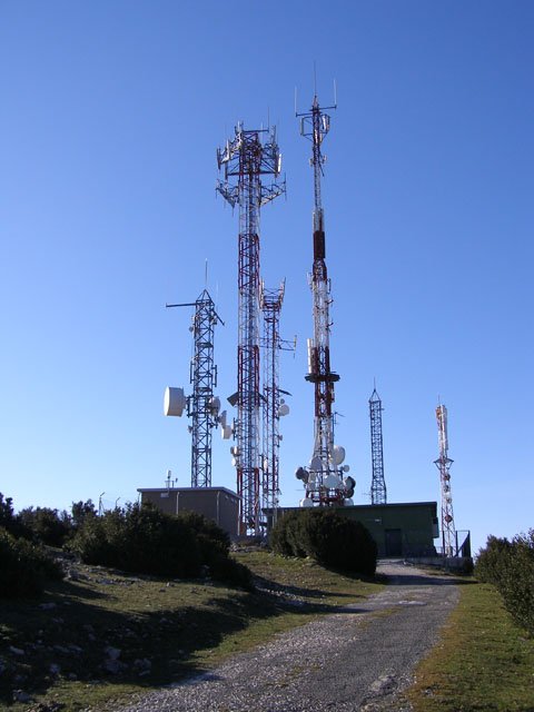 Gailurra