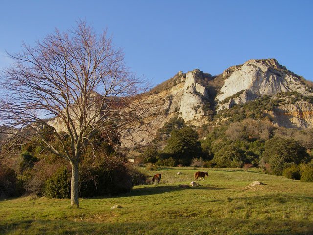 Leire mendilerroa