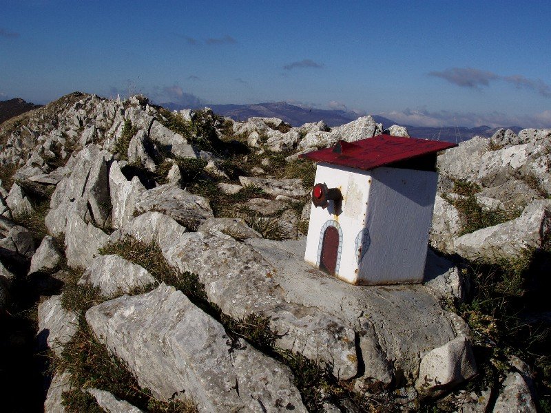 Txartelontzia