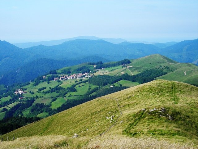 Arano