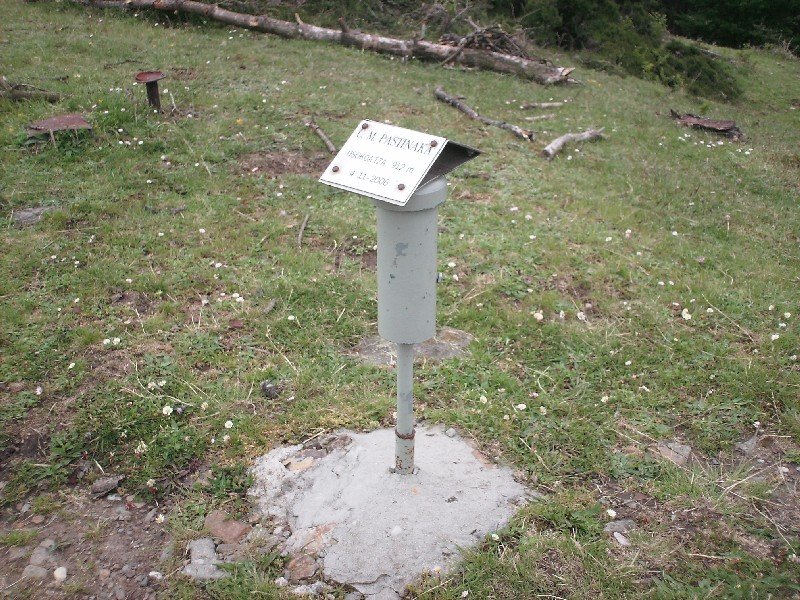Buzoia