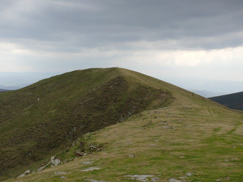 Tontorra