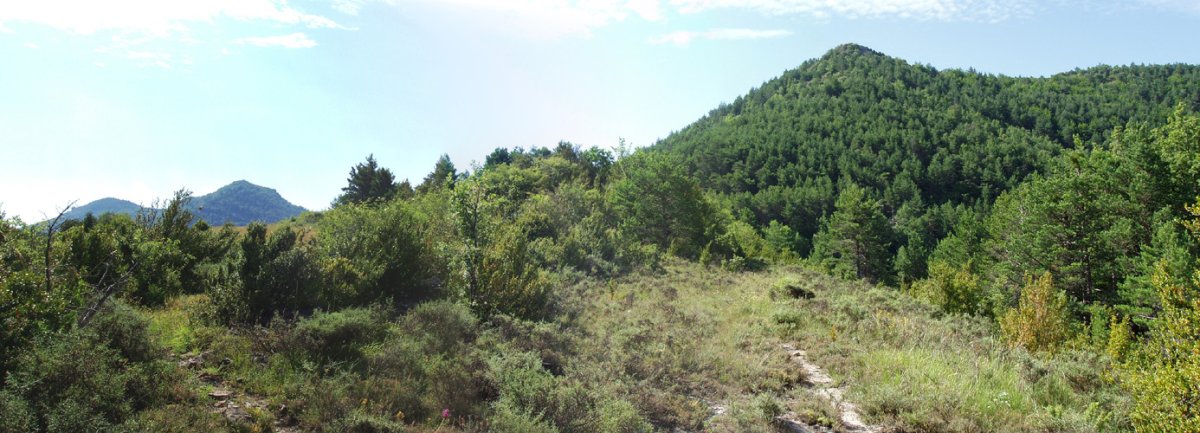 Lepotik ikusita
