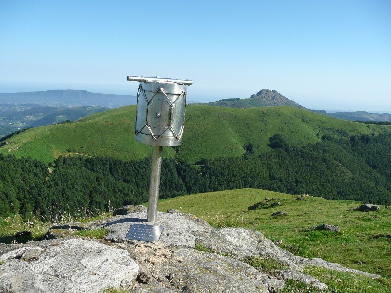 Buzoia