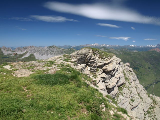 Gailurra