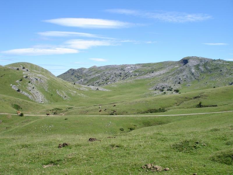 Igaratza