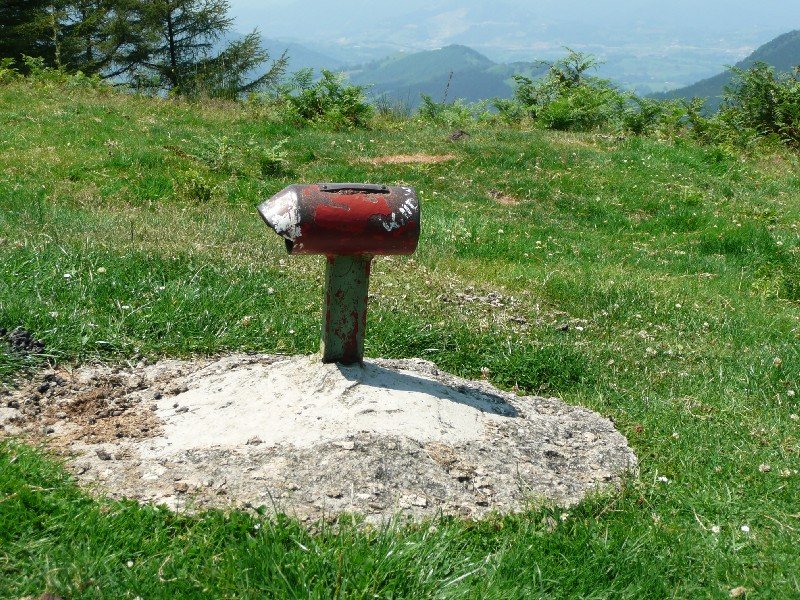 Buzoia