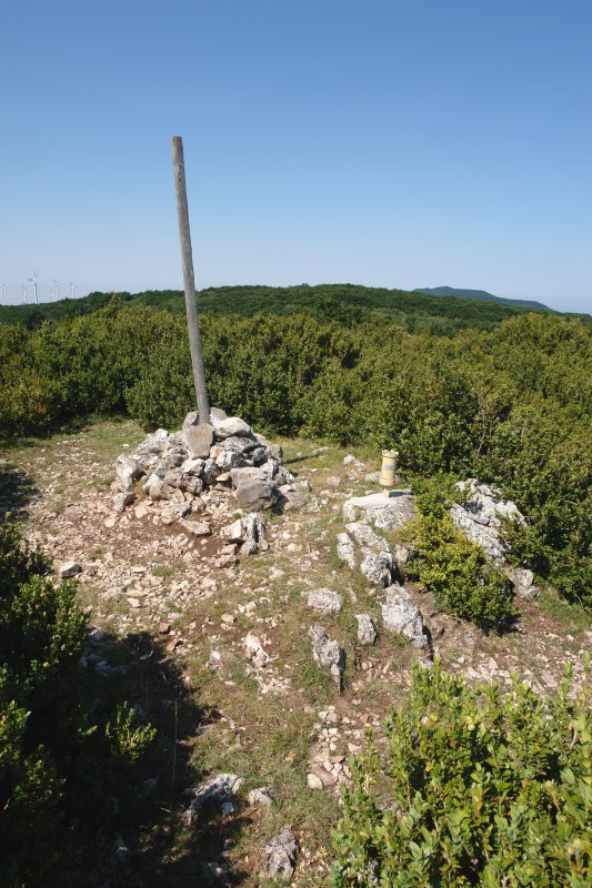 Tontorra