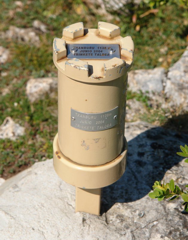 Buzoia