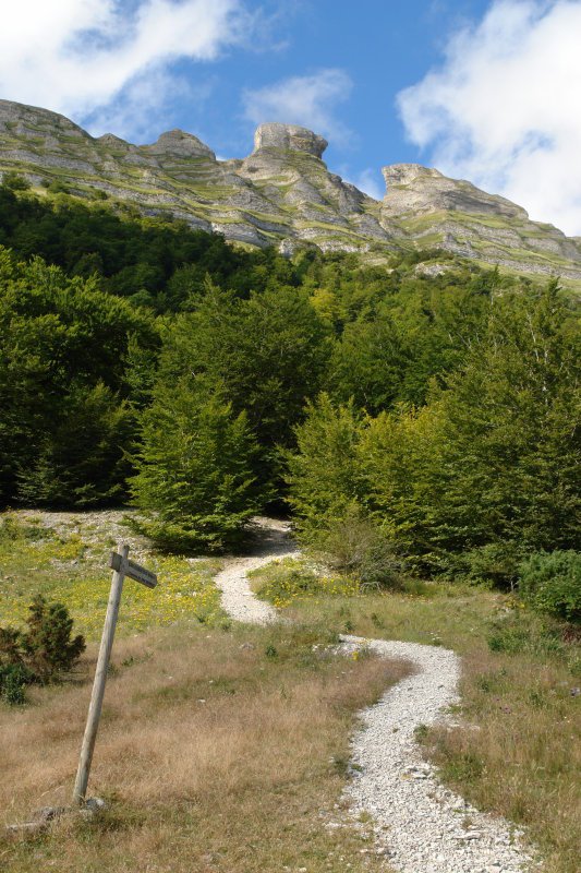 Uharte-Arakil aldeko igoeraren erdibidean