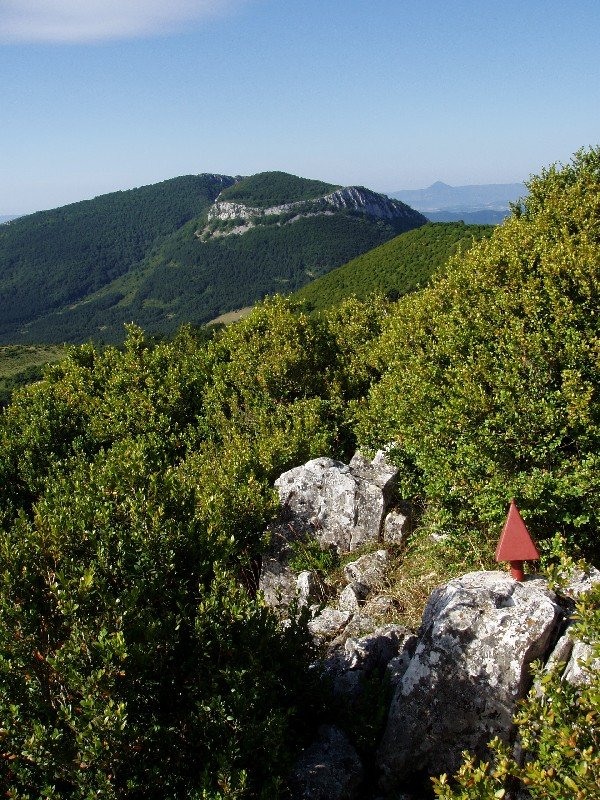 Buzoia eta Pausaran