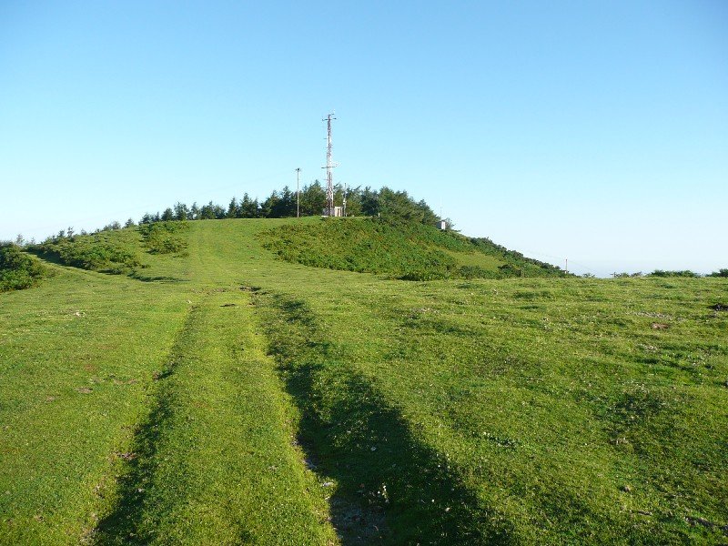 Tontorra