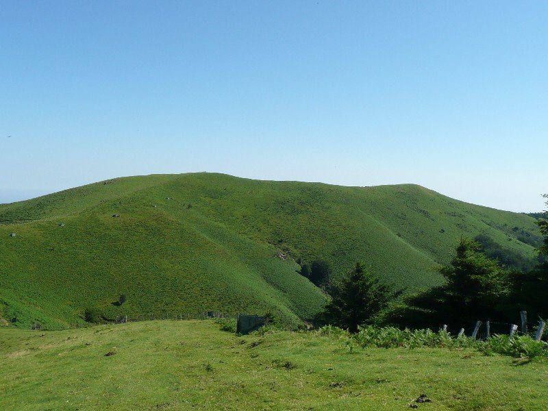 Erenga
