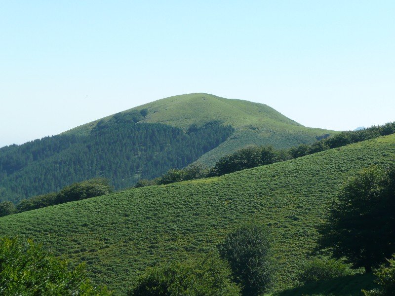 Erenga