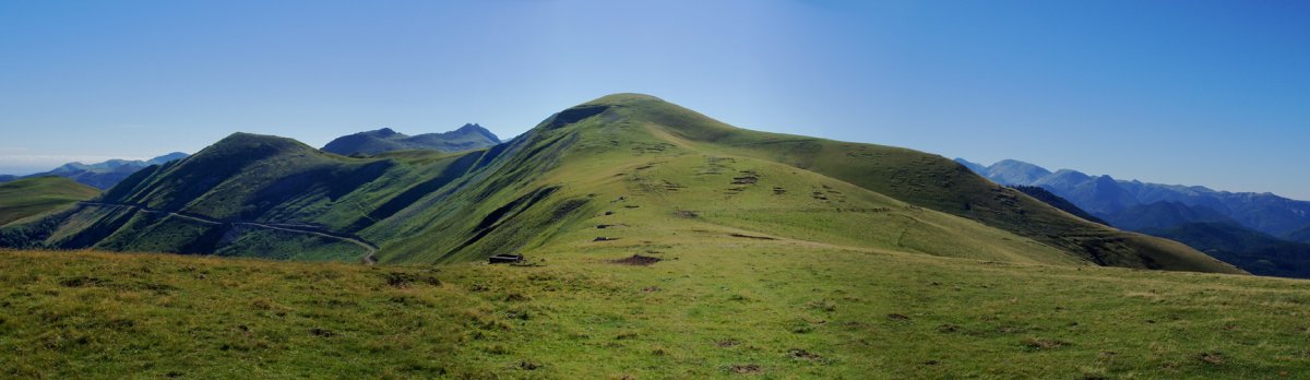 Gaztarrigaina