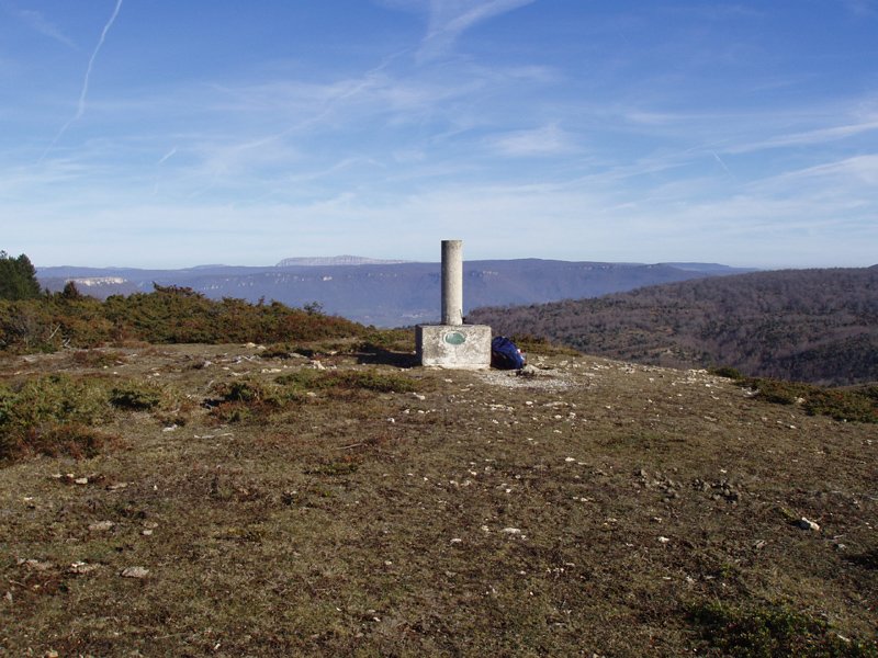 Biloria