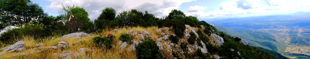 Gailurra