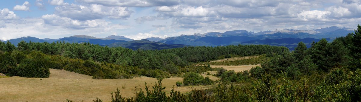 Pirinioak 
