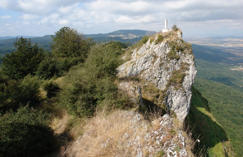 Bigate tontorra