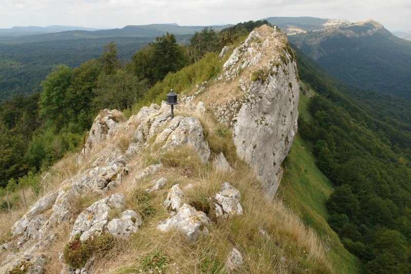 Tontorrak
