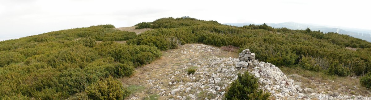 Orrontze gaina