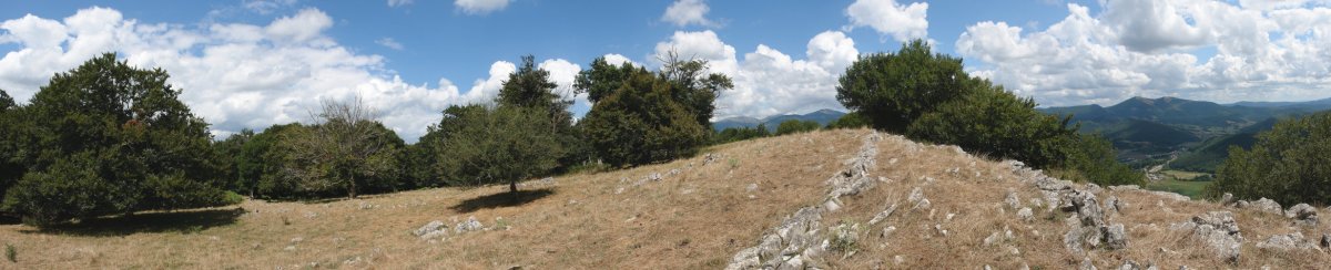 Mendigaña tontorra