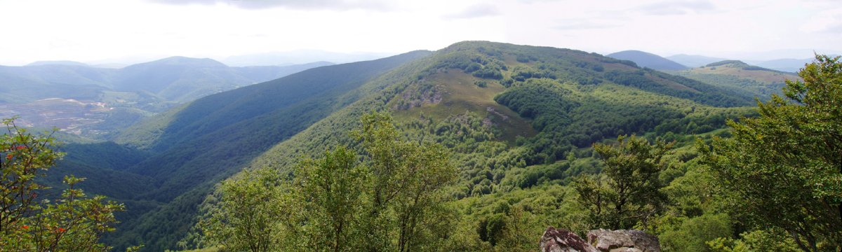 Burdindogi Egidetik