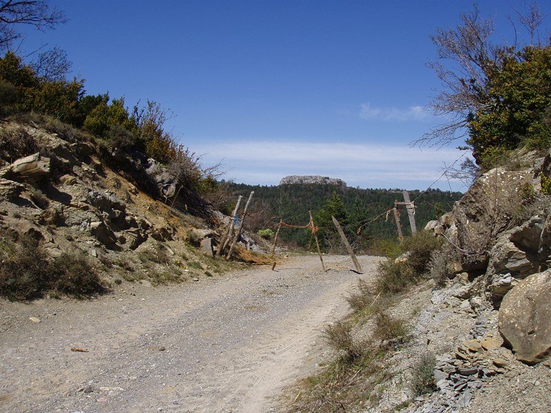 Alduko ataka