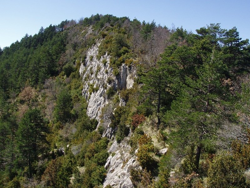 Alduko gandor itxia