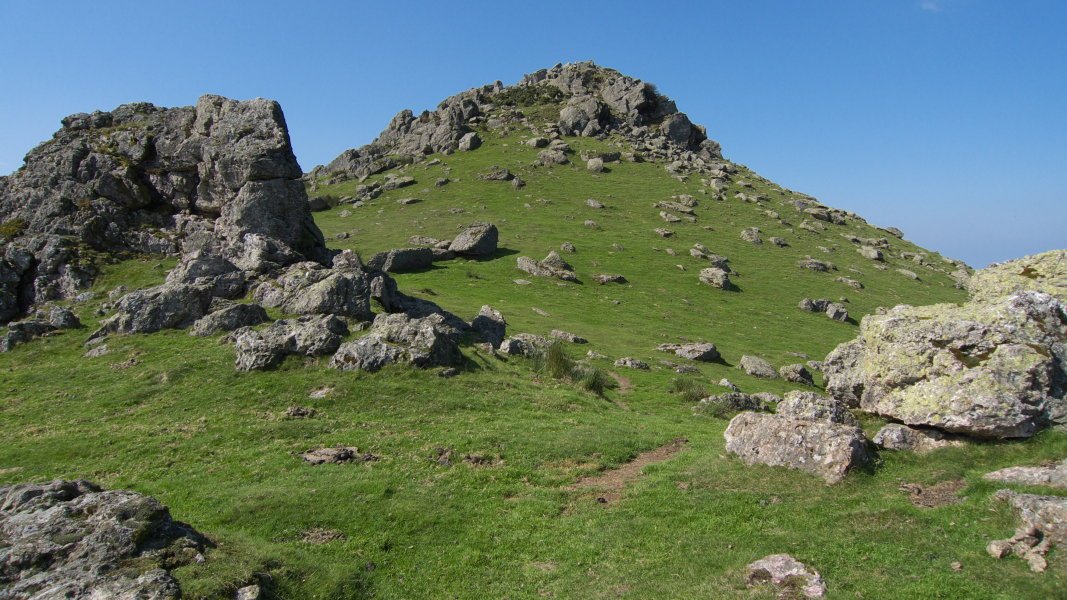 Tontorra Ekialdetik