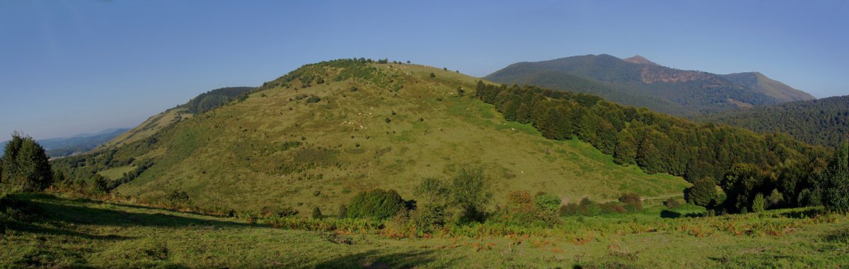 Aritzarte