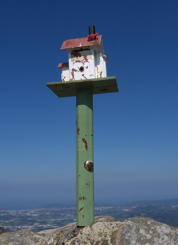 Buzoia