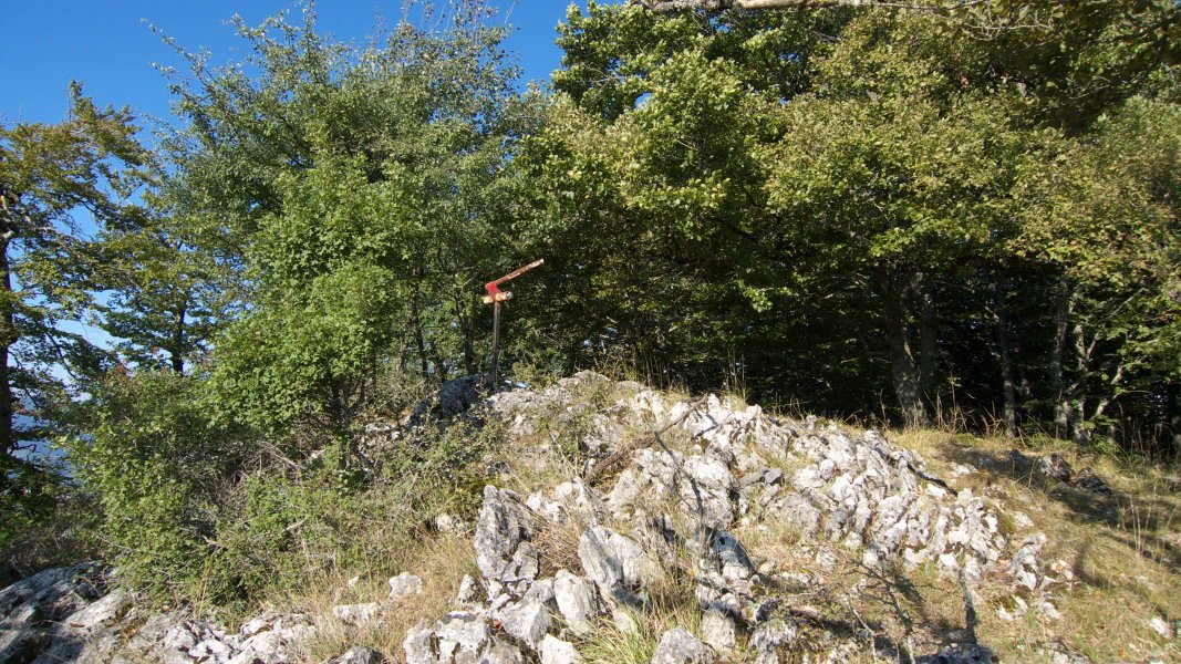 Tontorra