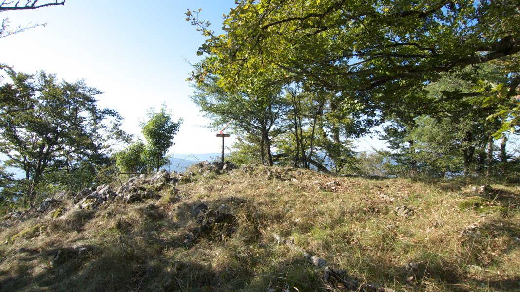 Tontorra