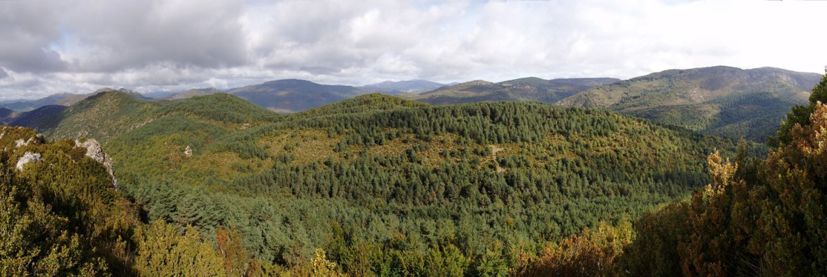 Panorama Larekitik