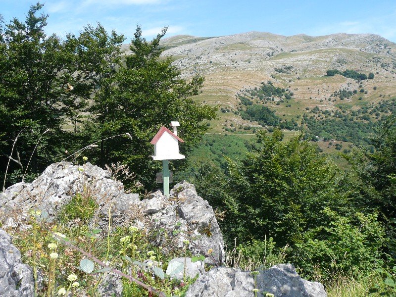 Tontorra