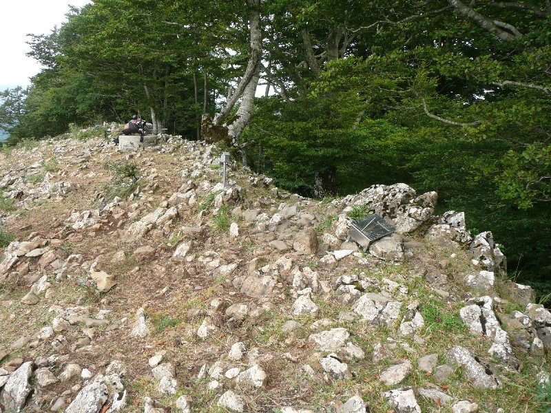 Tontorra