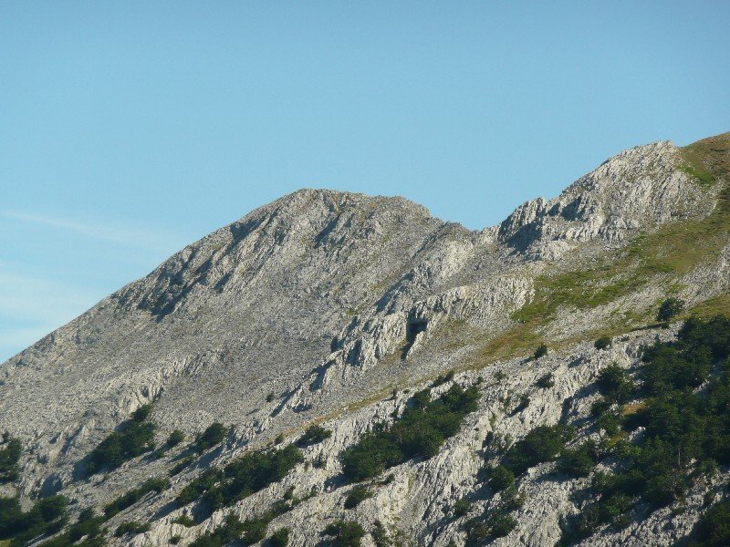 Arbelaitz
