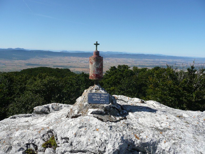 Buzoia
