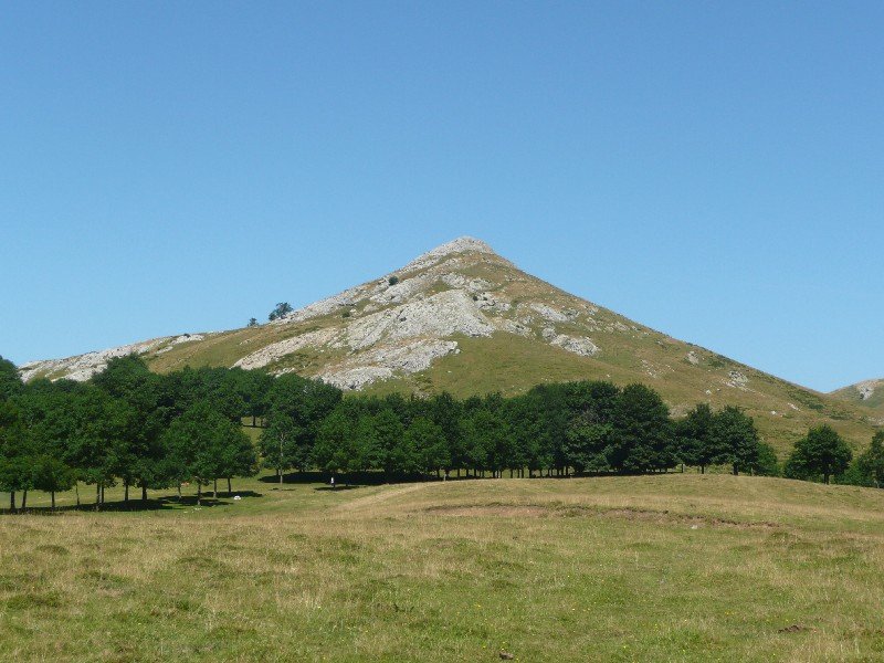 Enaitz
