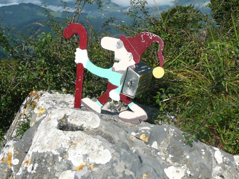 Buzoia