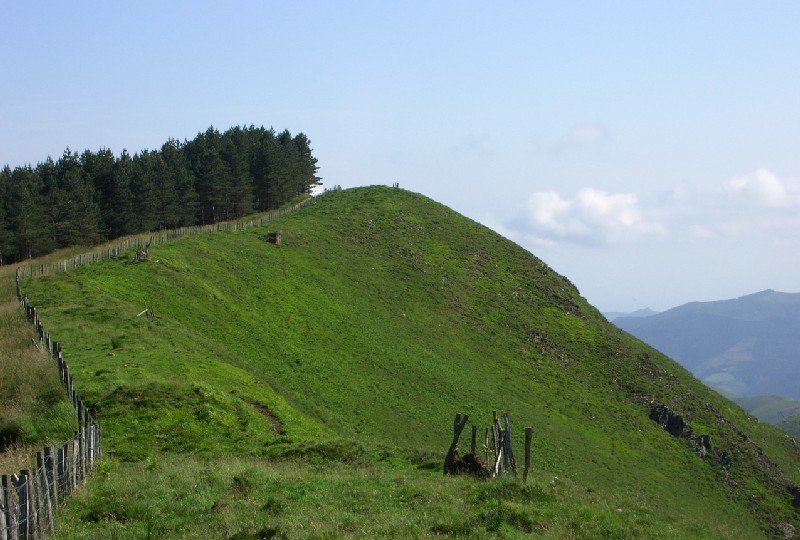 Tontorra