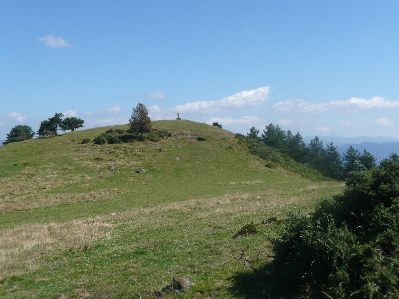 Tontorra