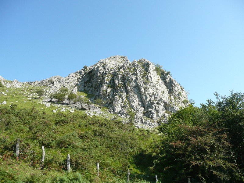 Tontorra