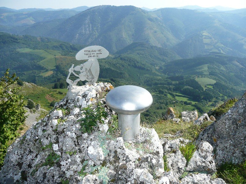 Buzoia