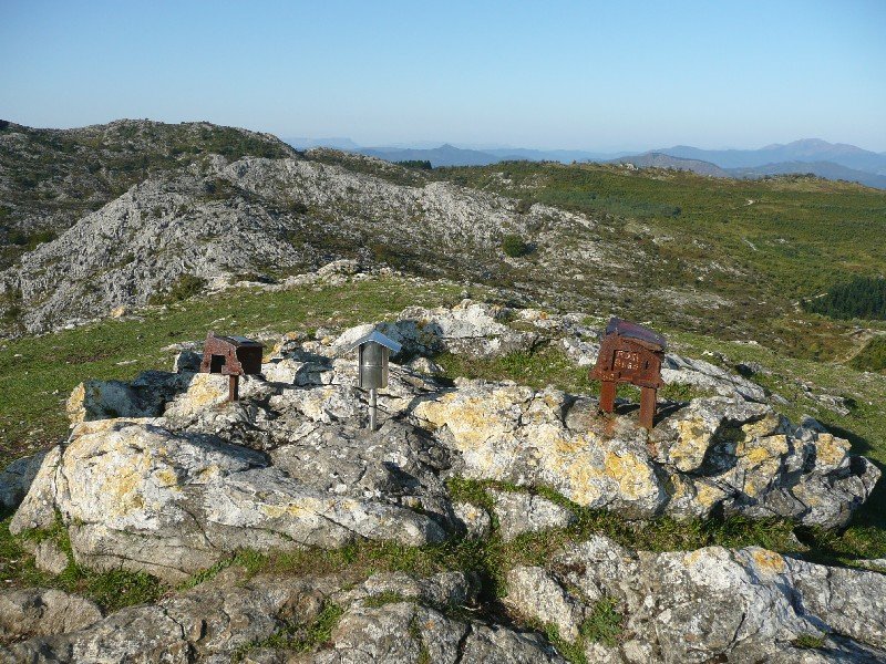 Tontorra