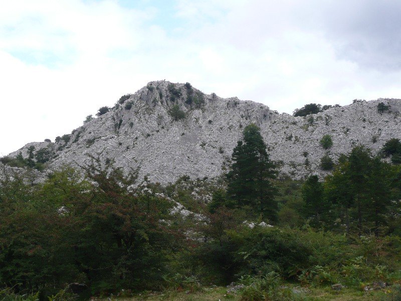 Betzuenburu