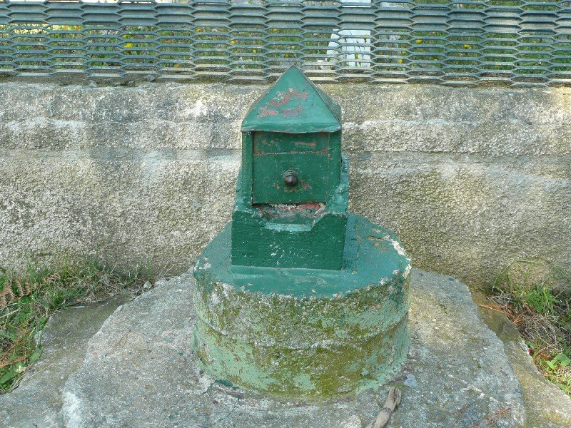 Buzoia