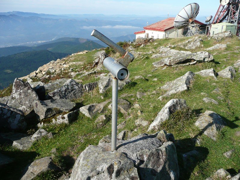 Buzoia
